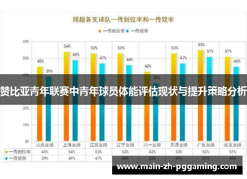赞比亚青年联赛中青年球员体能评估现状与提升策略分析