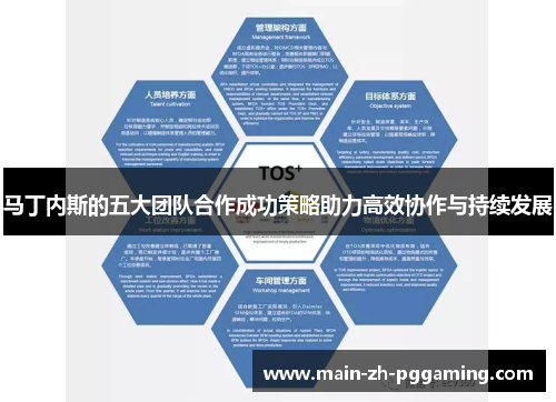 马丁内斯的五大团队合作成功策略助力高效协作与持续发展