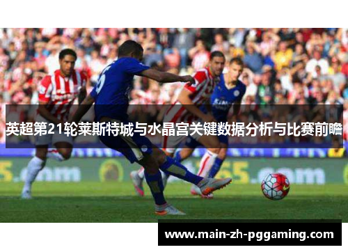 英超第21轮莱斯特城与水晶宫关键数据分析与比赛前瞻 英超第21轮莱斯特城与水晶宫关键数据分析与比赛前瞻