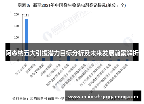 阿森纳五大引援潜力目标分析及未来发展前景解析