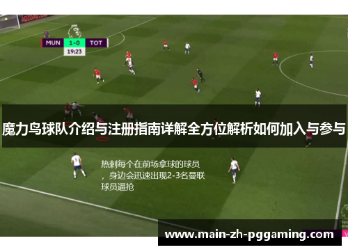 魔力鸟球队介绍与注册指南详解全方位解析如何加入与参与
