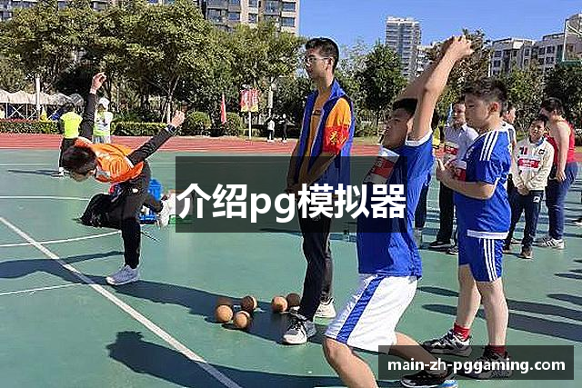 介绍pg模拟器